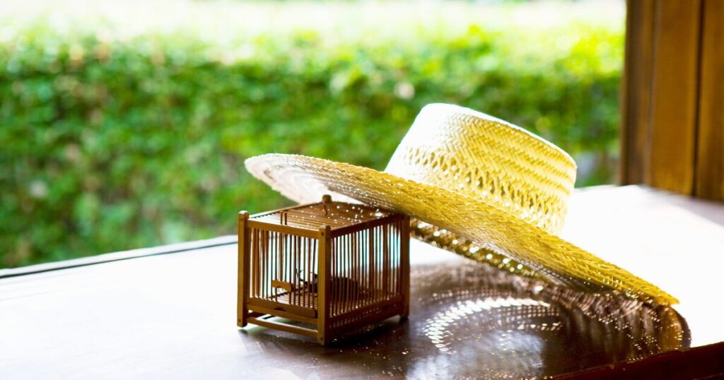 夏（5〜6月）決算大感謝祭